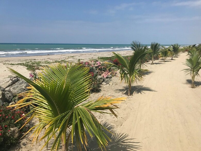 Jama Paradise