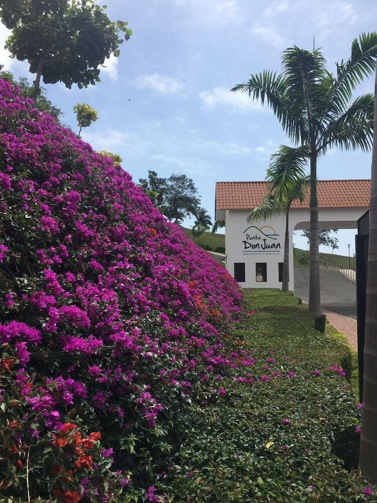 Jama Paradise