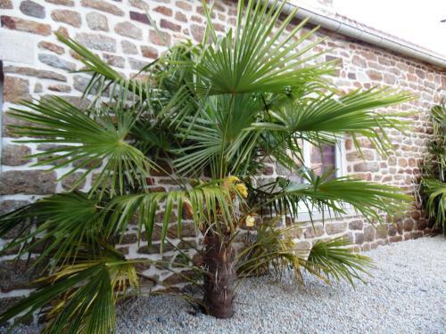 Gite Mont Saint Michel