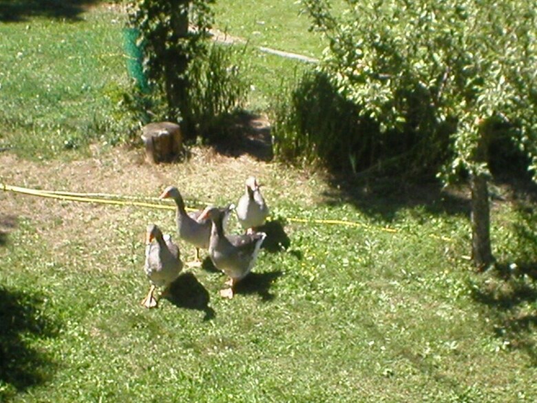 Apartamento Vacances Haut-verdon - Champautric