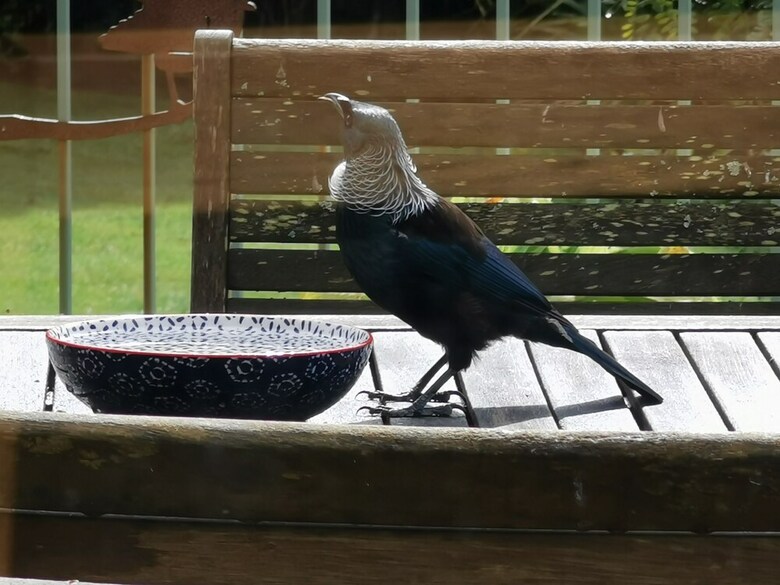 Bed & Breakfast Tui Hideaway