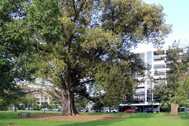 Adelaide Central Apartment - 3br, 2bath & Carpark