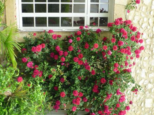 Bed & Breakfast Les Chambres D'h�tes De Luneil (b&b)