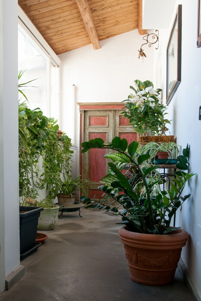 Apartamento Palazzo Spagna