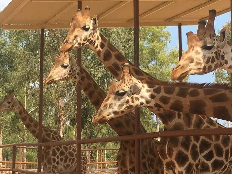 Agroturismo Alojamientos Rurales Berrocal
