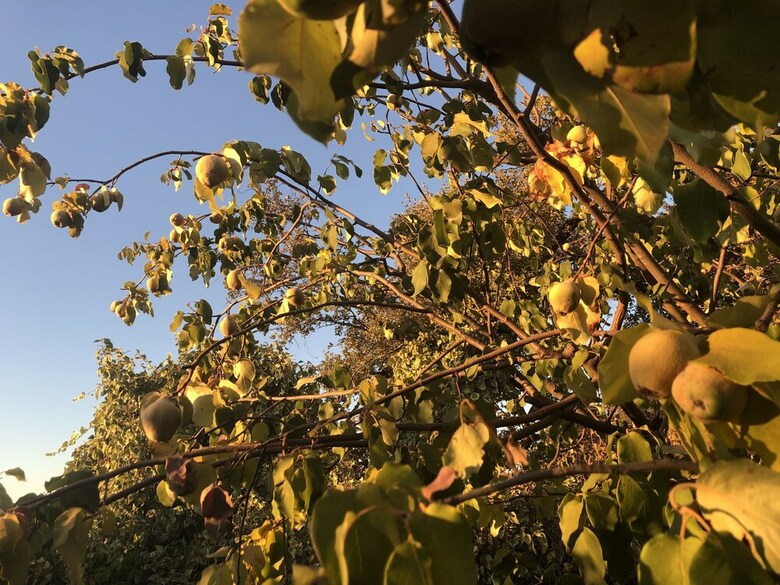 Agroturismo Alojamientos Rurales Berrocal