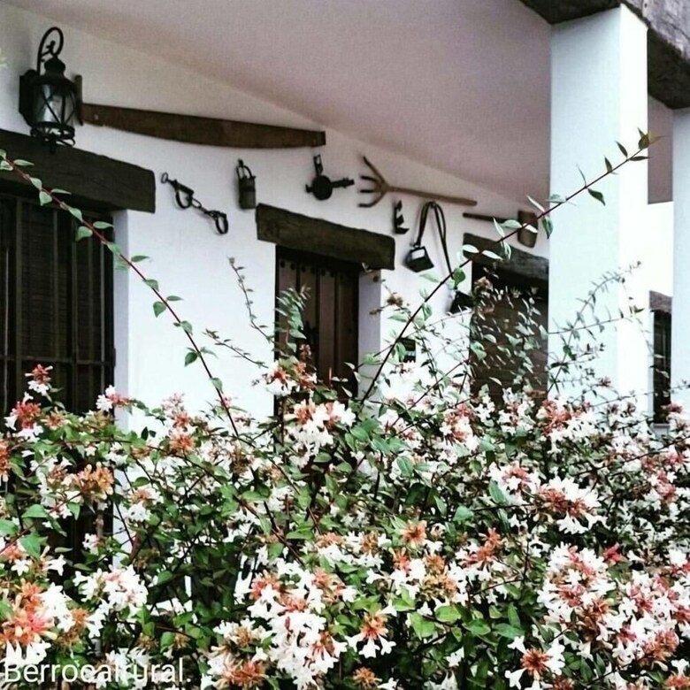 Agroturismo Alojamientos Rurales Berrocal