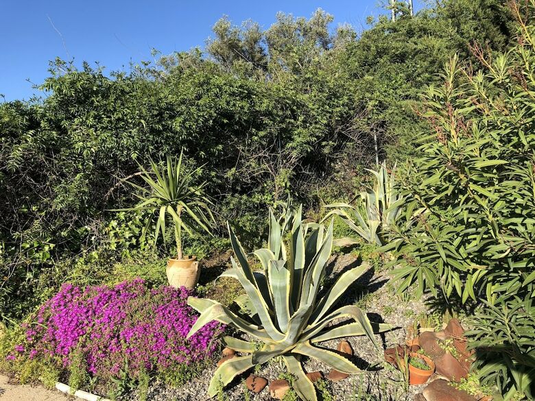 Agroturismo Alojamientos Rurales Berrocal