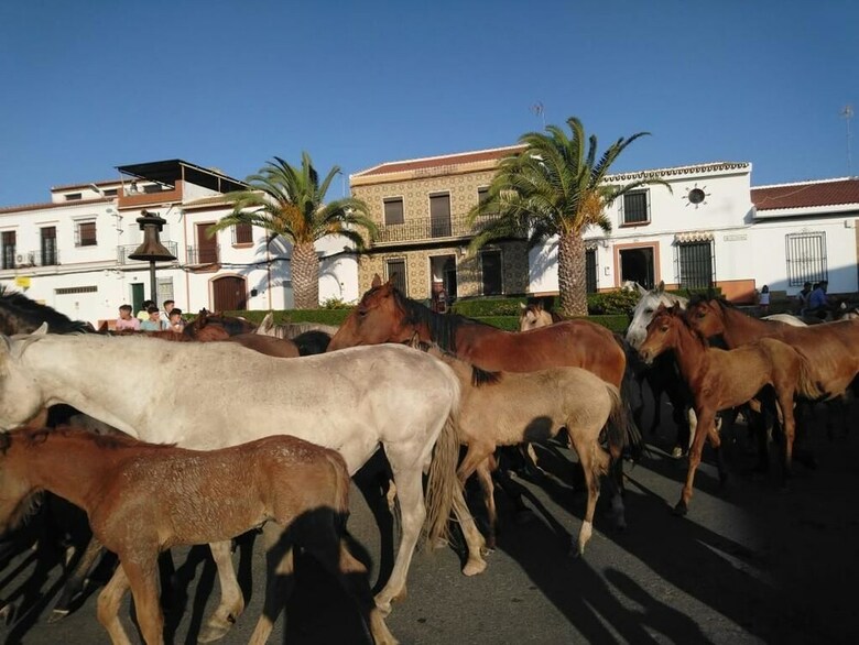 Agroturismo Alojamientos Rurales Berrocal