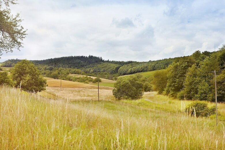 Landhotel & Waldgasthof Lembergblick
