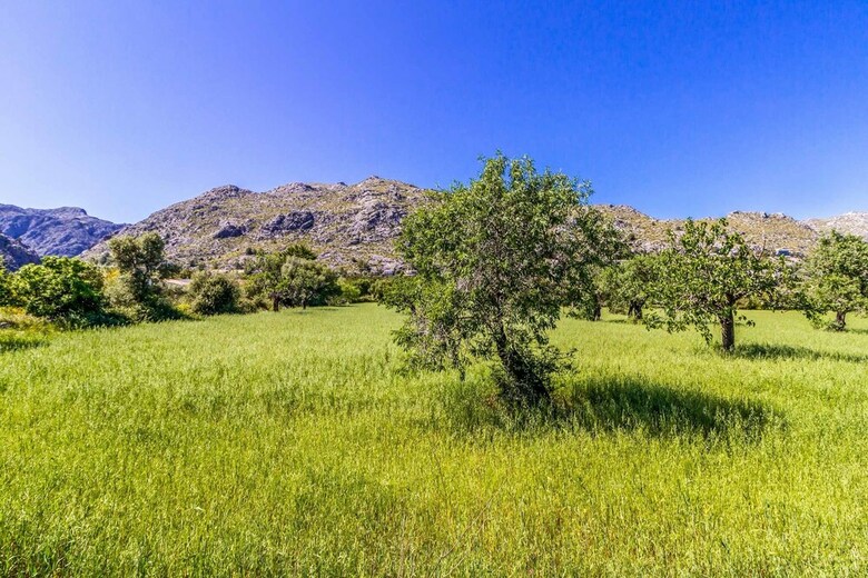 Villa Les Oliveras