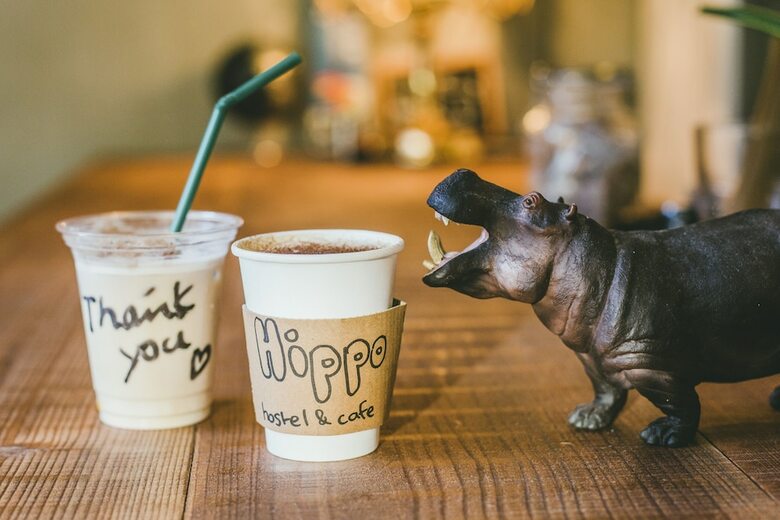 Hostal Hippo Hostel & Cafe Bar