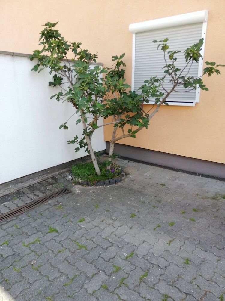Apartamentos Fewo Wensauer