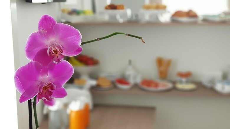 Ilice B&B