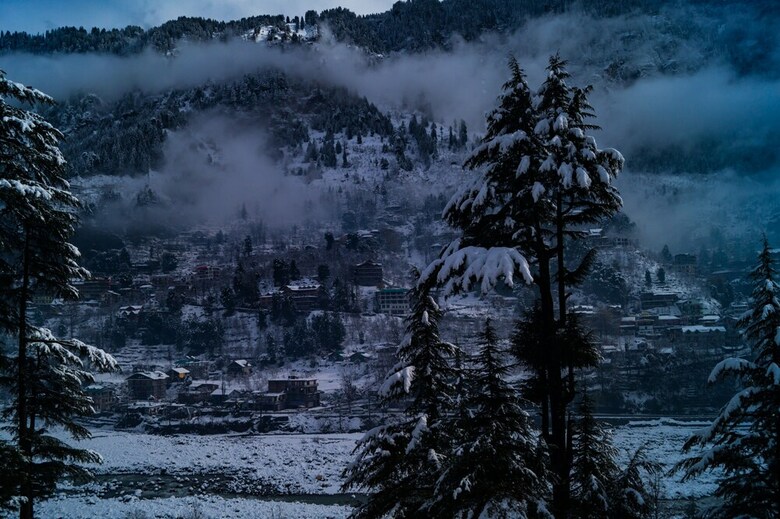 Hotel Alt Life Manali