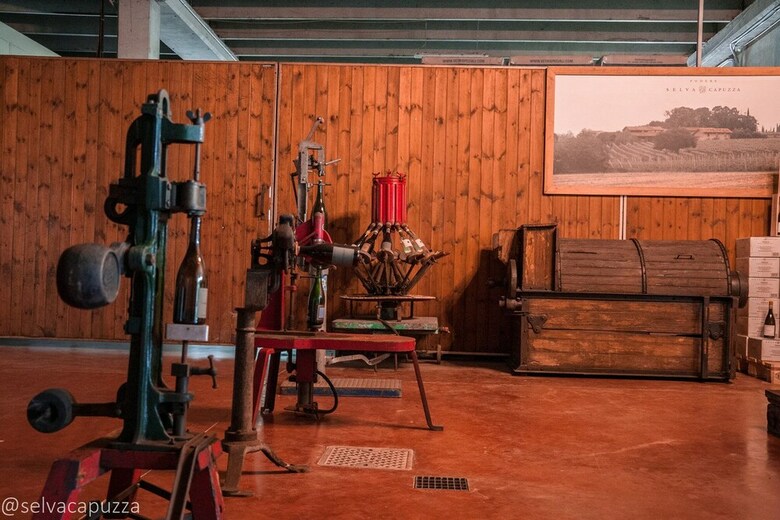 Agroturismo Borgo San Donino - Selva Capuzza