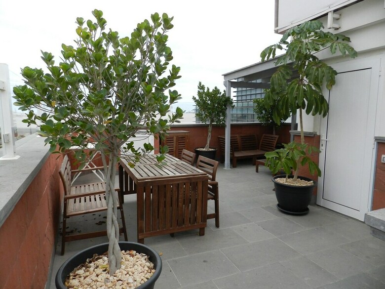 Apartamentos Duplex Nuevo Y Moderno Con Terraza