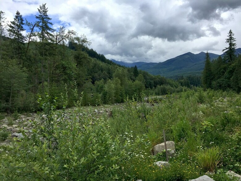 Mt. Baker Lodging Cabin 40 ? Pool Table, Sleeps 11! By Mbl