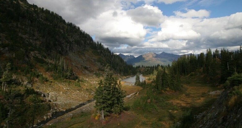 Mt. Baker Lodging Cabin 39 ? Pet Friendly, Sleeps 6! By Mbl