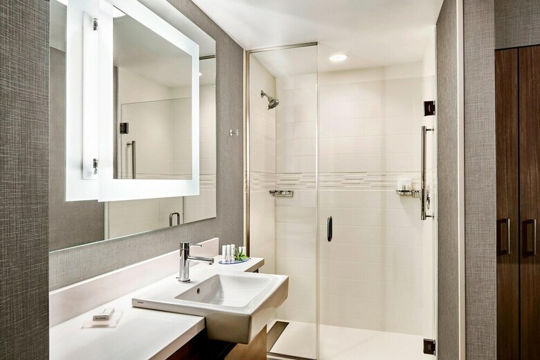 Hotel Springhill Suites By Marriott Atlanta Perimeter Center