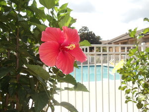 Hotel Quality Inn & Suites Pensacola
