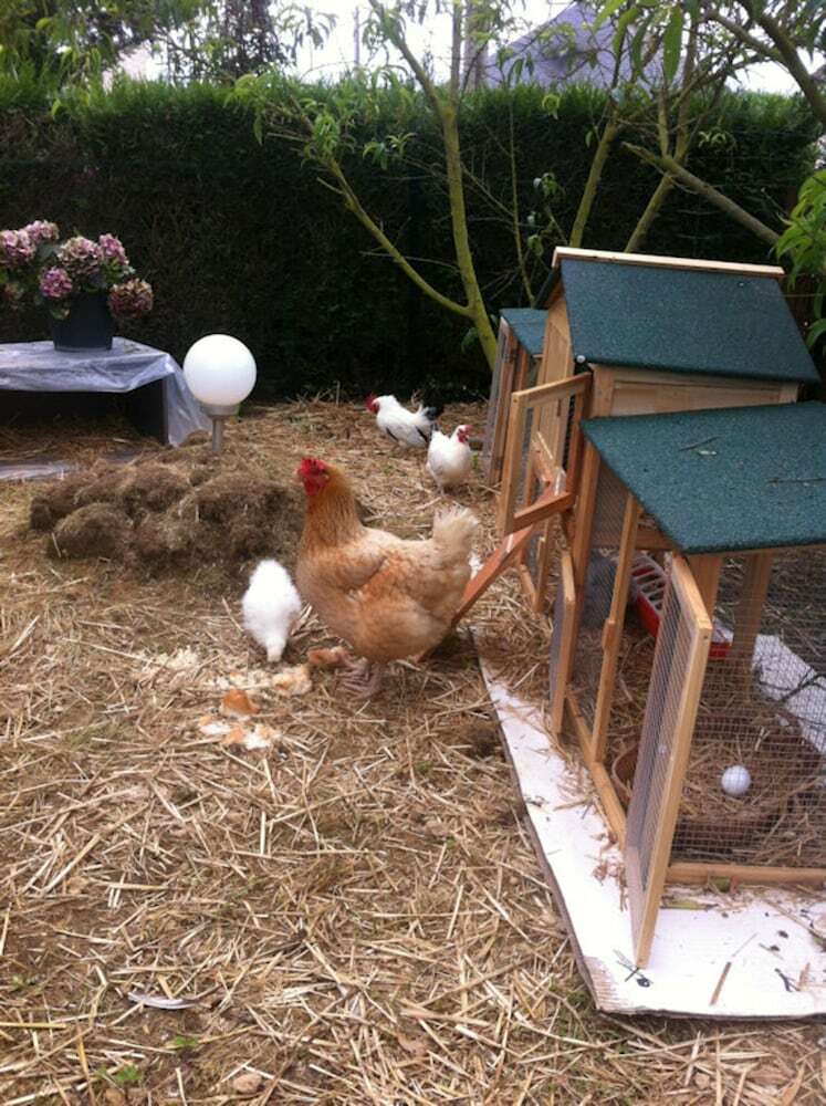 Bed & Breakfast Chambres D'hotes Les Papillons