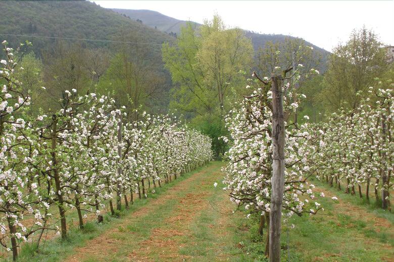 Agroturismo Agriturismo Zafferano E Dintorni