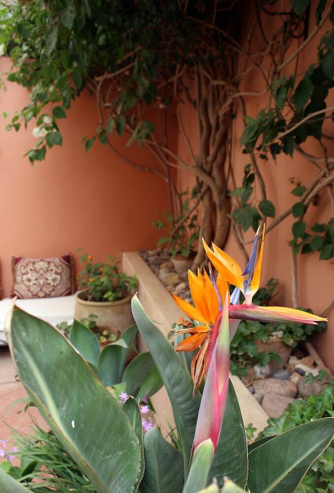 Hotel Tifawin Home & Garden