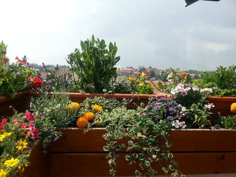 Antik Hotel Sofia Litomysl