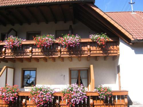 Hostal Hotel Gasthaus Zum Hirschen