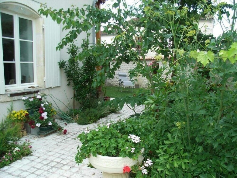 Bed & Breakfast La Fleur de Vigne - Maison D'hotes