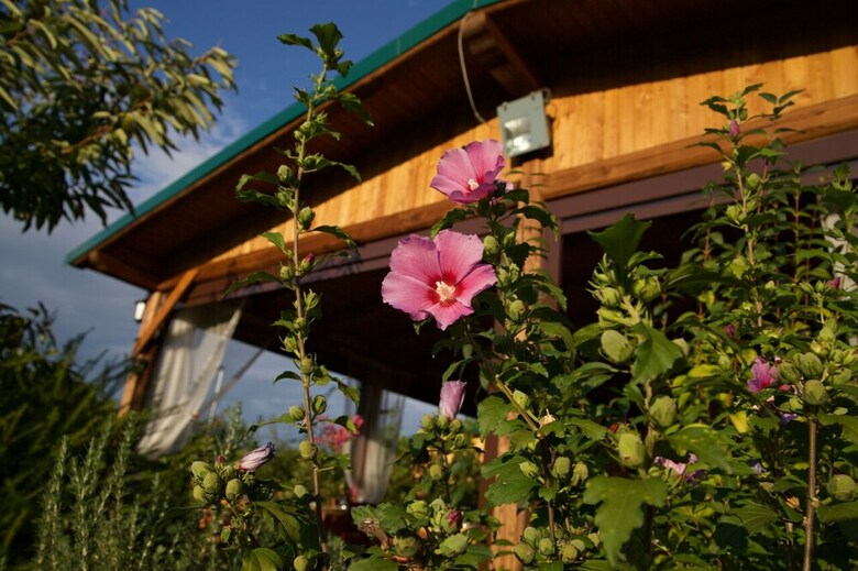 Agroturismo I Sapori Dei Castelli Romani