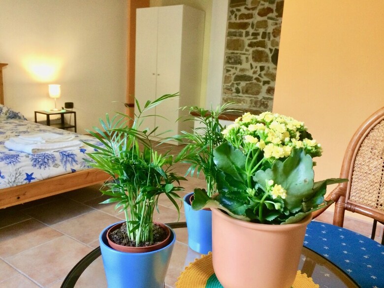 Hotel Gioi Villa Rizzo Lovely Rooms