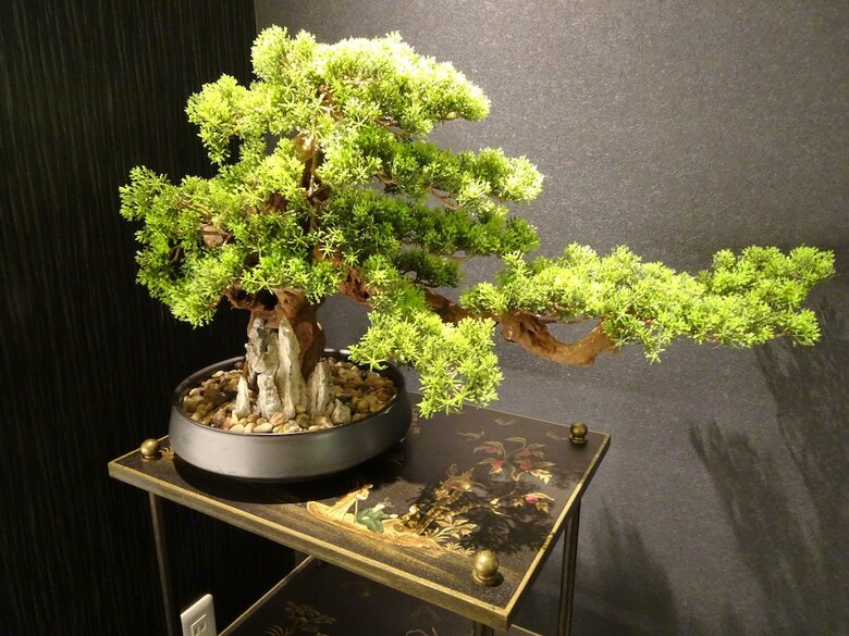 Rodisson Hotel Kyoto Shichijo