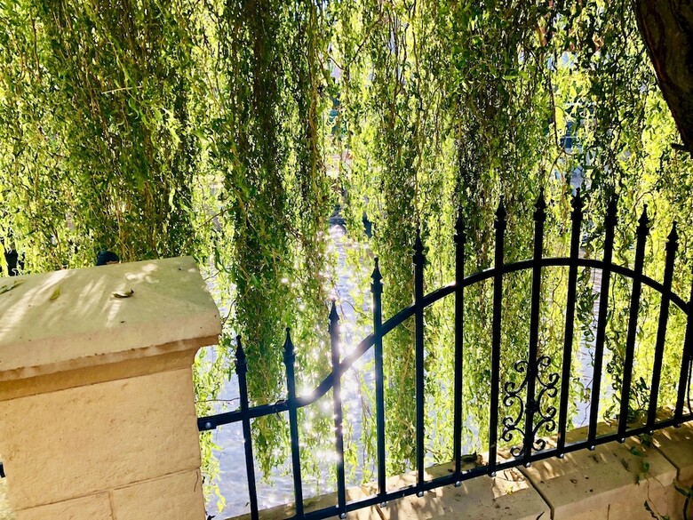 Hostal Europa Pension Zum Gr�nen Baum