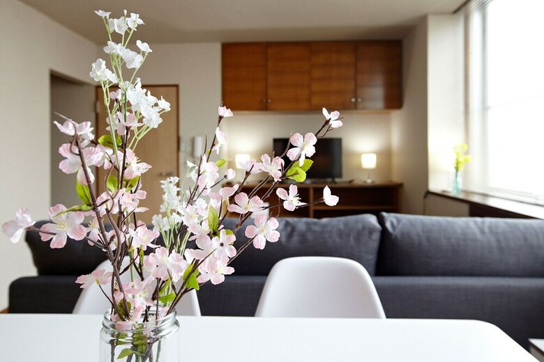 Apartamentos My Tokyo Home Omori