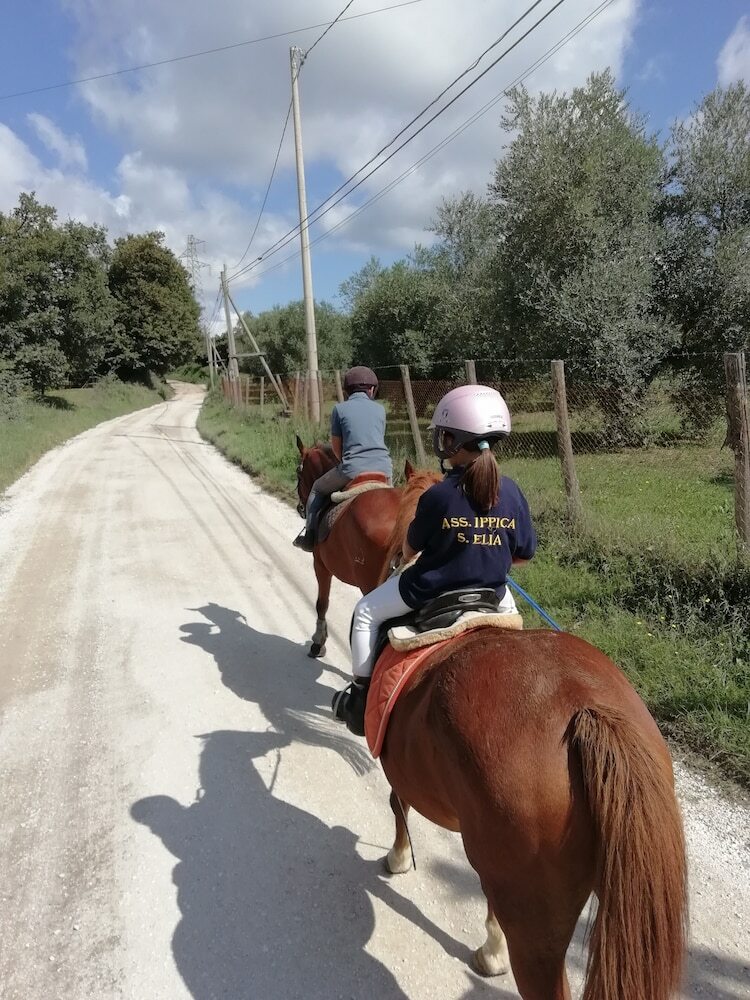Bed & Breakfast Casale Sant'elia