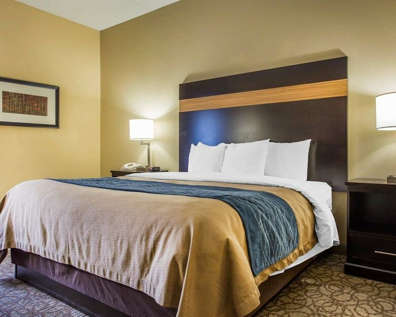 Hotel Comfort Inn & Suites At Stone Mountain