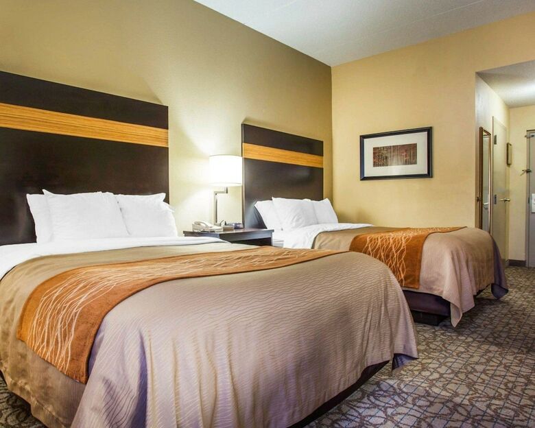 Hotel Comfort Inn & Suites At Stone Mountain