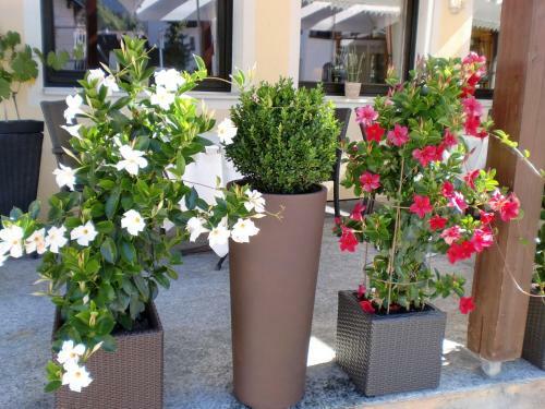 Apartamento Landgasthof-appartements Post