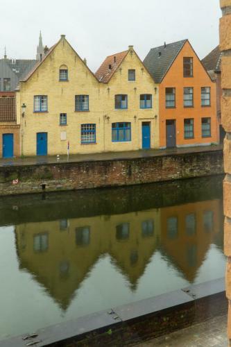 B&B Contrast