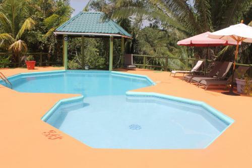 Hostal Inn The Bush Eco-jungle Lodge