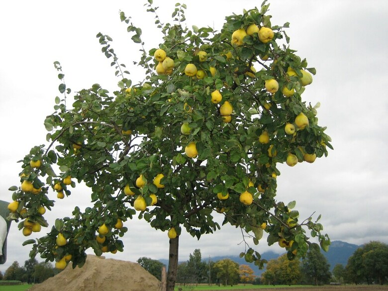 Agroturismo Steigmatt Bauernhof - Erlebnis