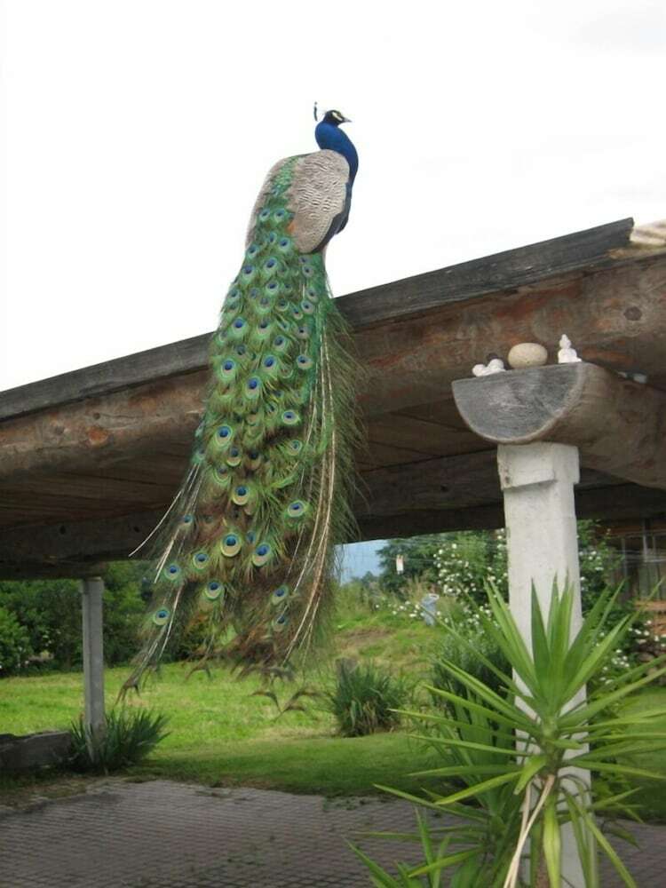 Agroturismo Steigmatt Bauernhof - Erlebnis