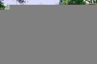 Maya Mountain Lodge & Tours