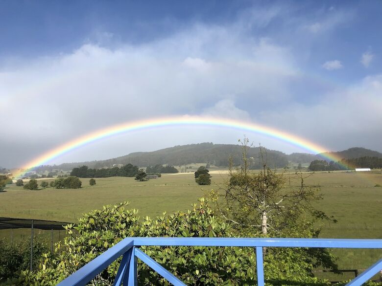 Apartamentos Mole Creek Hideaway