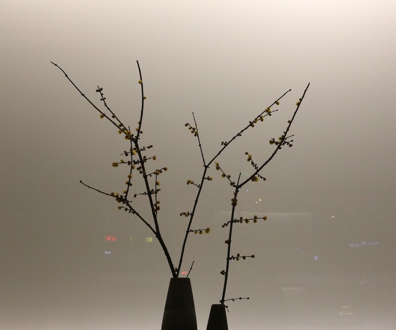 Hotel The Hidden House Chengdu Taiguli Branch