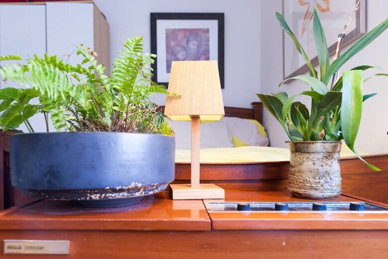 Beautiful Lush And Green Oasis Studio Apartment
