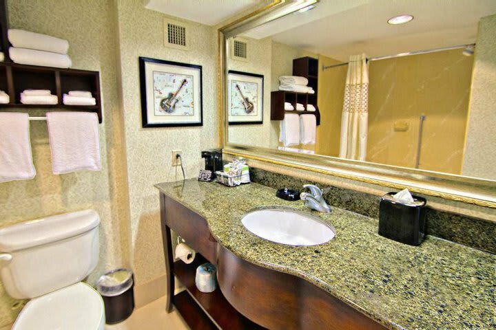 Hotel Hampton Inn & Suites At Beale Street (.)