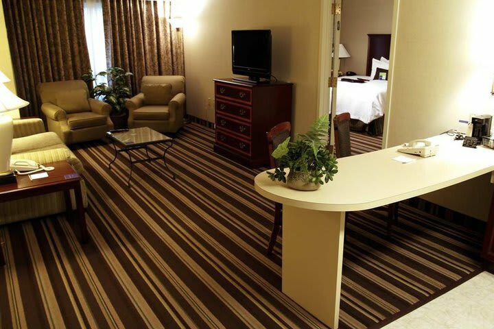 Hotel Hampton Inn & Suites At Beale Street (.)